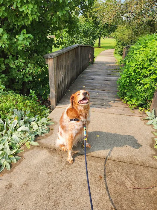 Newton Animal Clinic Picture 5