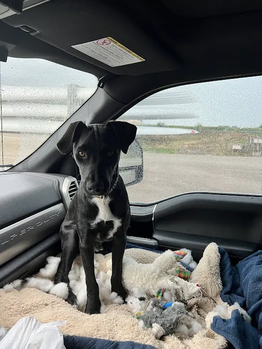 Newton Animal Clinic Picture 1