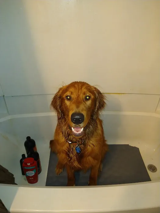 Newton Animal Clinic Picture 2