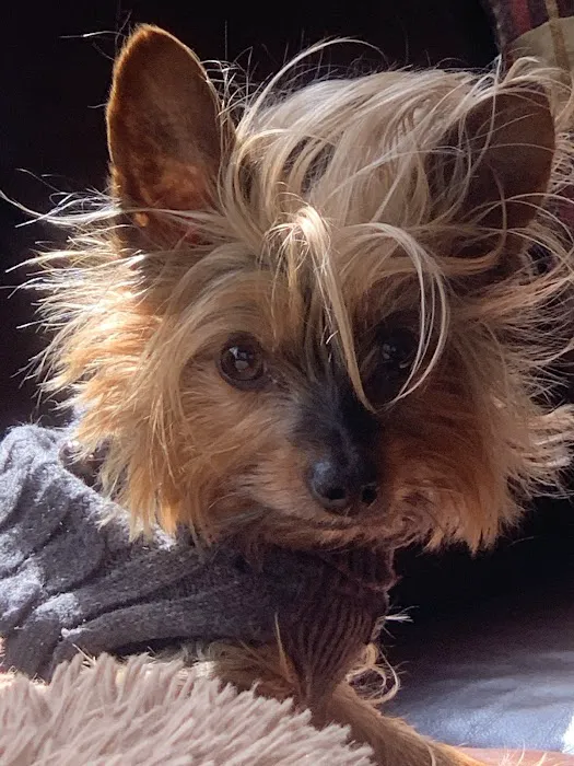 Newton Animal Clinic Picture 6