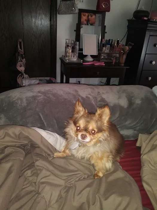 Newton Animal Clinic Picture 7