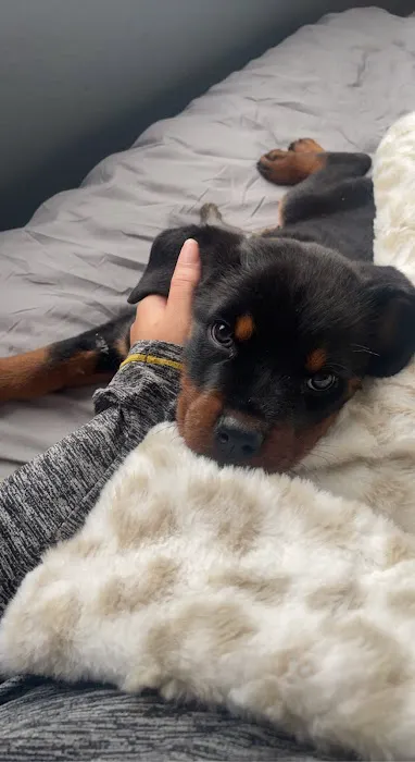 Newton Animal Clinic Picture 10