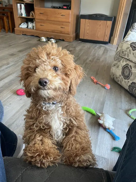 Newton Animal Clinic Picture 9