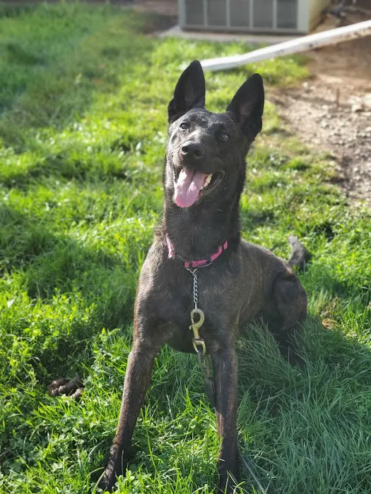 Parkview Animal Hospital Picture 4