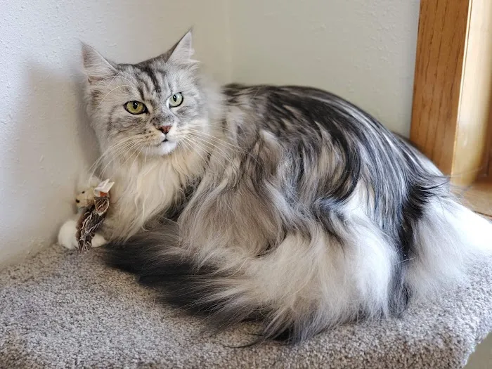 Parkview Animal Hospital Picture 6