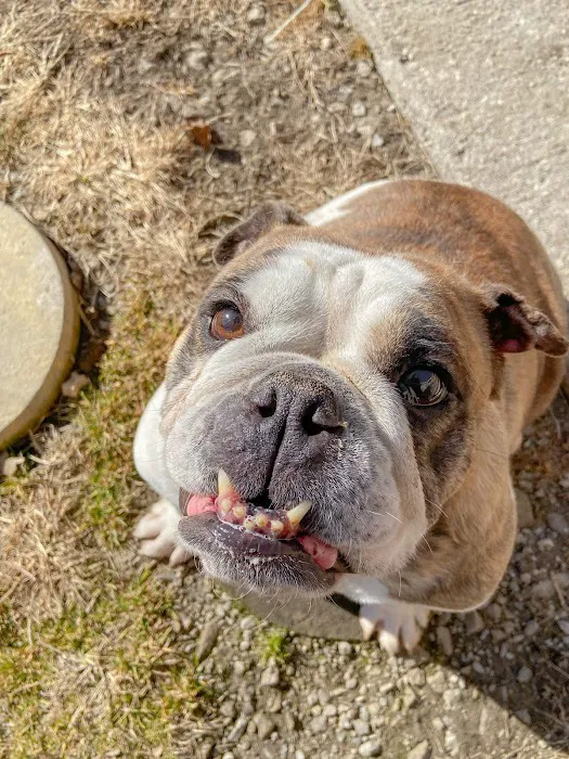 Parkview Animal Hospital Picture 7