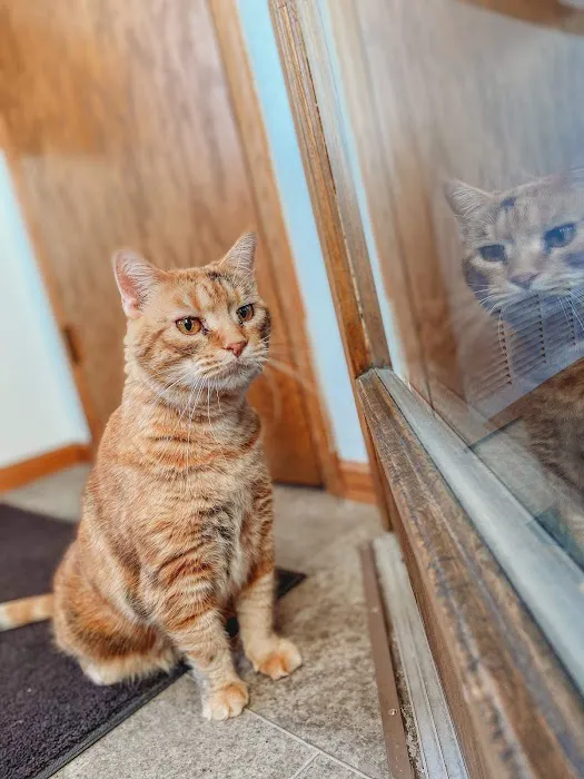 Parkview Animal Hospital Picture 10