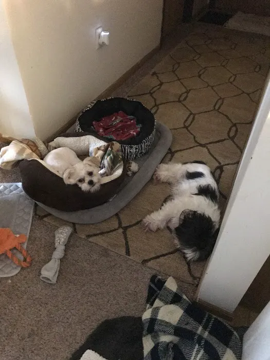 When Farm Vet Services Picture 1