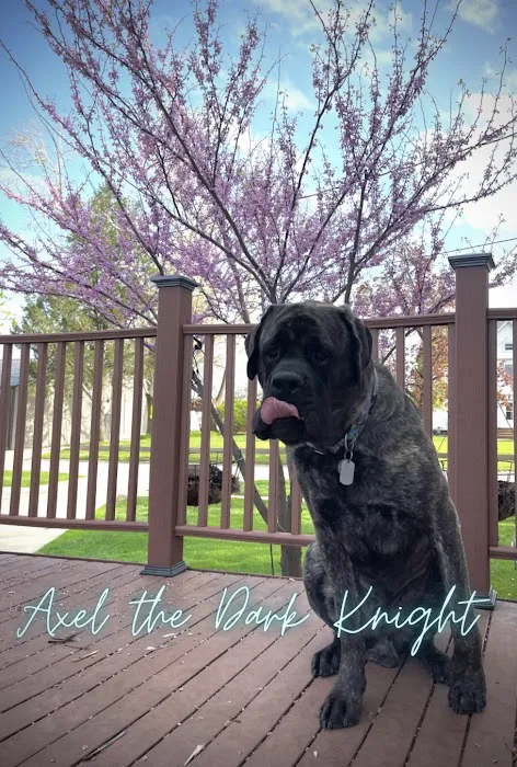 Midland Prairie Veterinary Services Picture 3