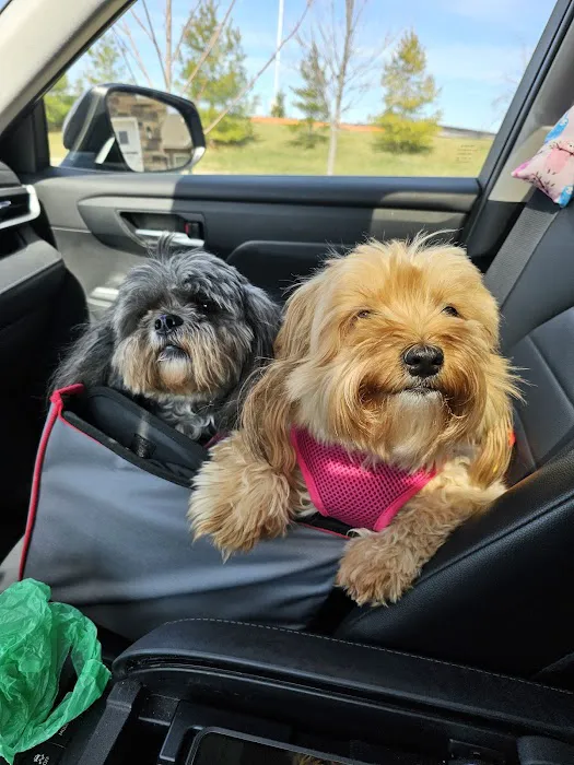 Midland Prairie Veterinary Services Picture 2