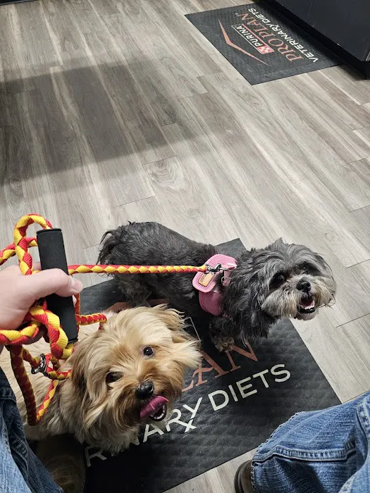 Midland Prairie Veterinary Services Picture 4