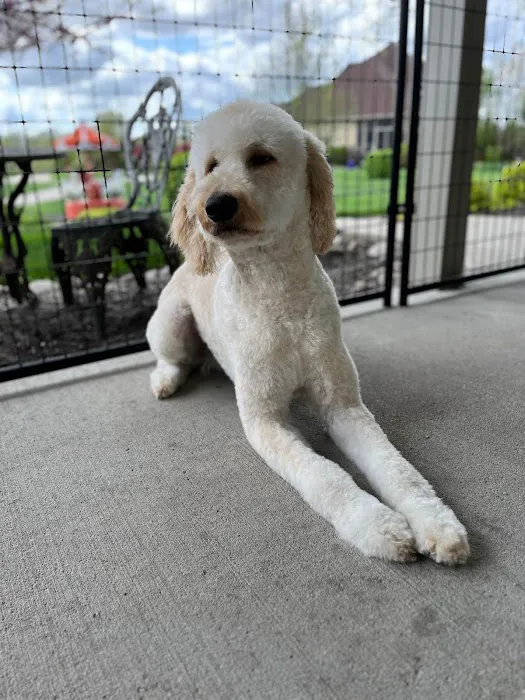 Midland Prairie Veterinary Services Picture 5