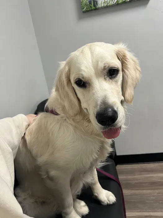 Midland Prairie Veterinary Services Picture 10