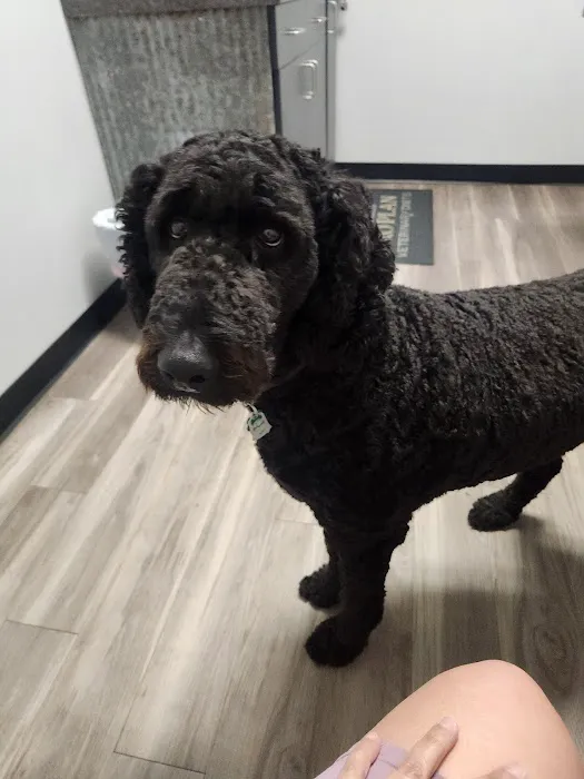 Midland Prairie Veterinary Services Picture 7