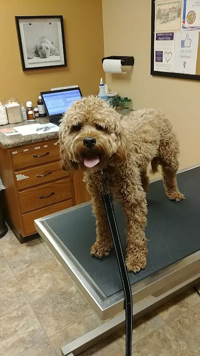 Bondurant Animal Clinic Picture 1