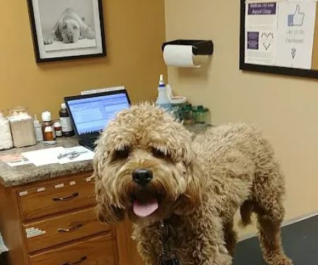 Bondurant Animal Clinic