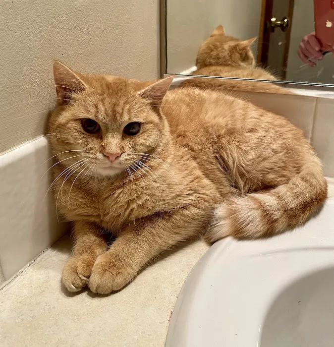 Bondurant Animal Clinic Picture 6