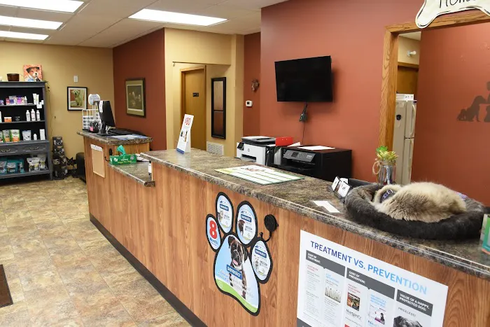 Bondurant Animal Clinic Picture 2