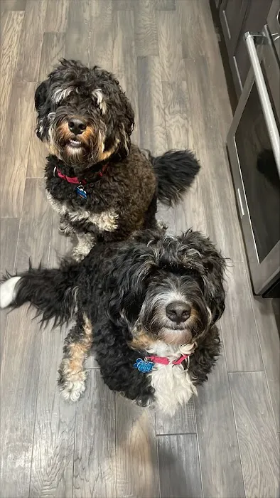 Bondurant Animal Clinic Picture 3