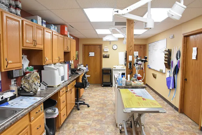 Bondurant Animal Clinic Picture 5