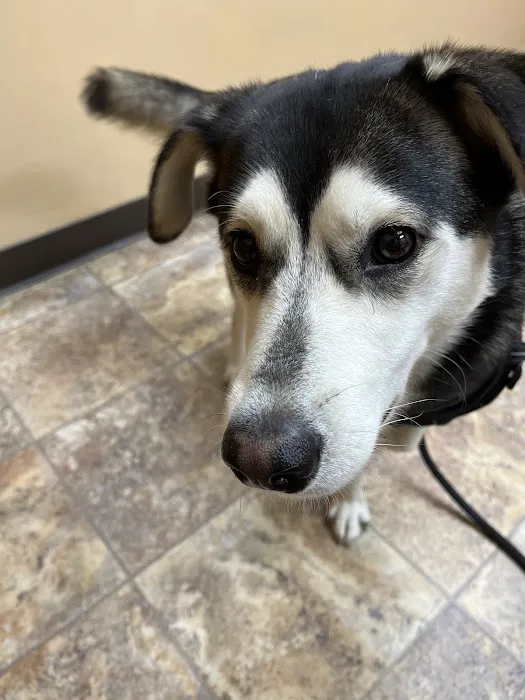 Bondurant Animal Clinic Picture 4