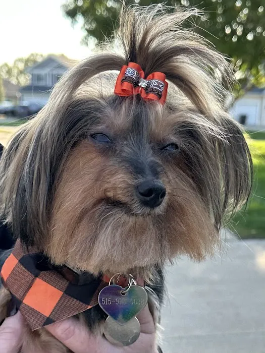 Bondurant Animal Clinic Picture 9