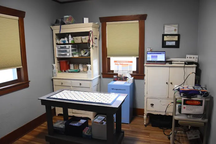 Brooklyn Vet Clinic - Dr. Katie Lang Picture 5