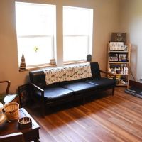 Brooklyn Vet Clinic - Dr. Katie Lang ico