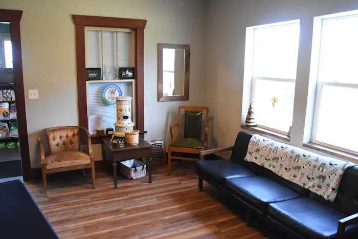 Brooklyn Vet Clinic - Dr. Katie Lang Picture 2