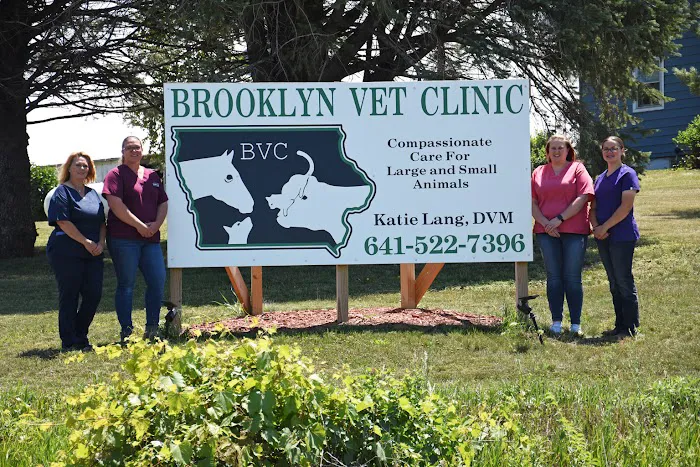 Brooklyn Vet Clinic - Dr. Katie Lang Picture 7