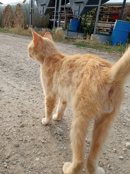 Farm & Family Veterinary Picture 1