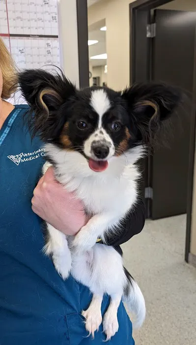 Veterinary Medical Center Picture 3