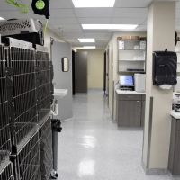 Veterinary Medical Center ico