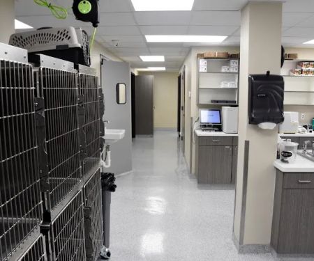 Veterinary Medical Center