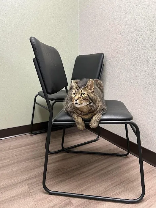 Kaukauna Veterinary Clinic Picture 1