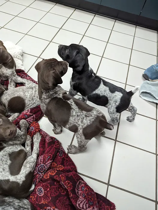 Kaukauna Veterinary Clinic Picture 4