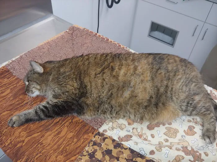 Kaukauna Veterinary Clinic Picture 7