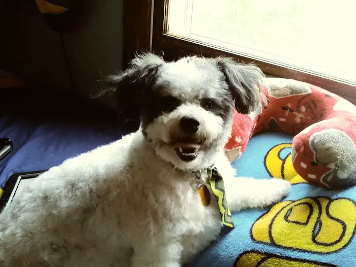 Kaukauna Veterinary Clinic Picture 8