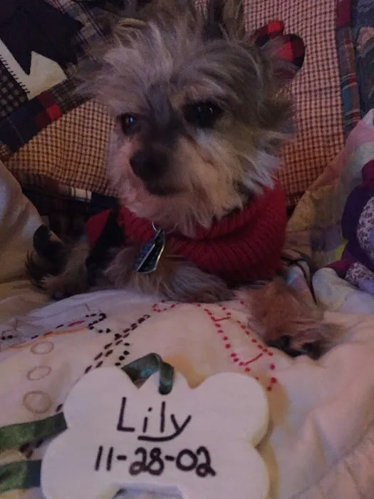 Kaukauna Veterinary Clinic: Rossebo Kurt DVM Picture 1