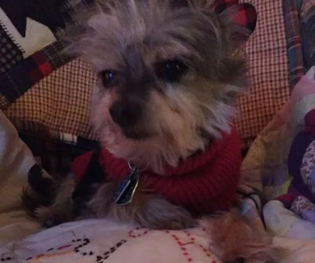 Kaukauna Veterinary Clinic: Rossebo Kurt DVM