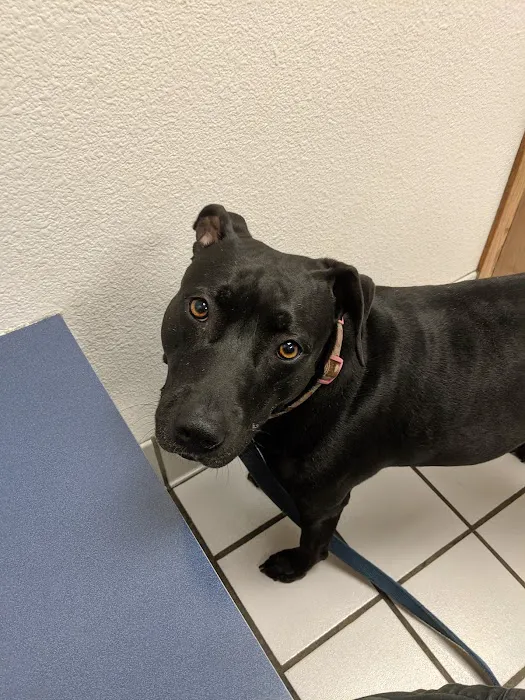 Kaukauna Veterinary Clinic: Rossebo Kurt DVM Picture 3