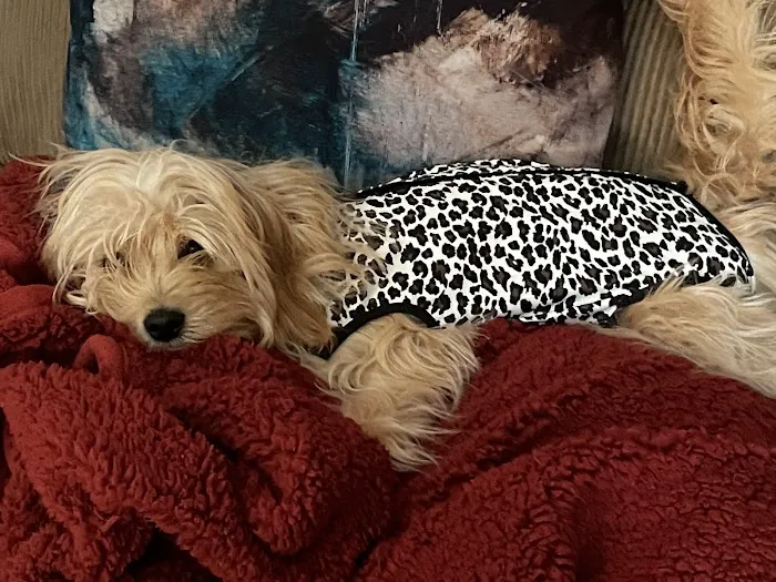 Riverside Animal Hospital Picture 1