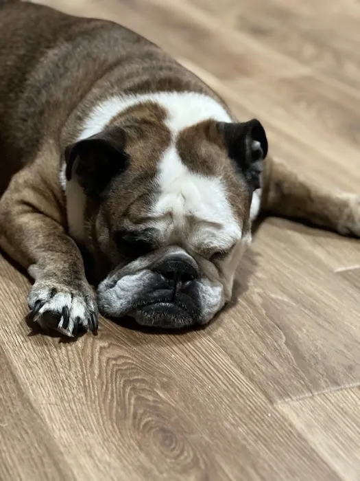 Riverside Animal Hospital Picture 2