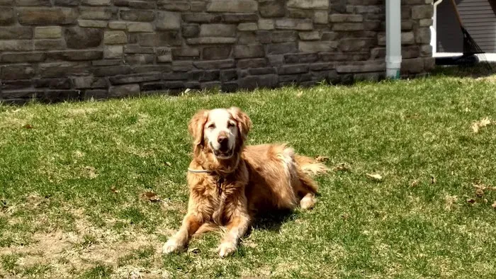 Riverside Animal Hospital Picture 5