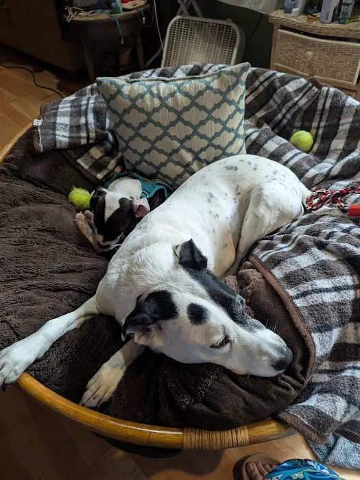 Riverside Animal Hospital Picture 7