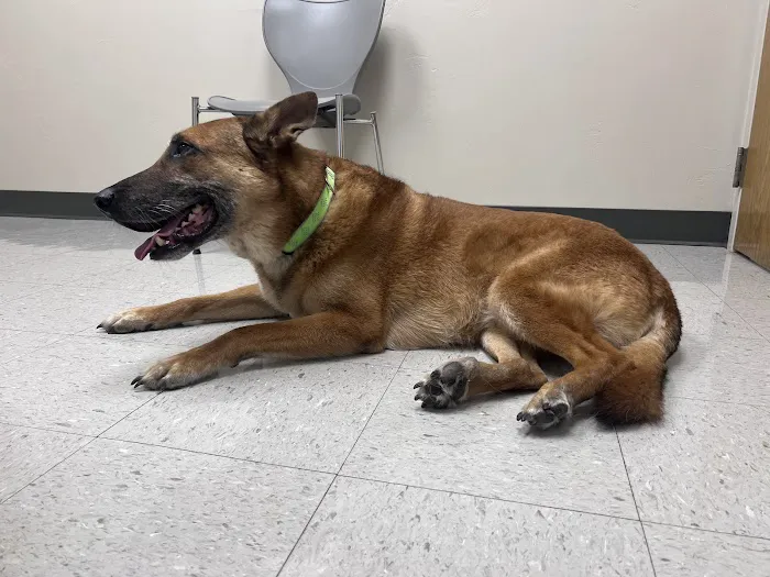 Riverside Animal Hospital Picture 6