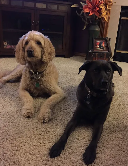 Riverside Animal Hospital Picture 4