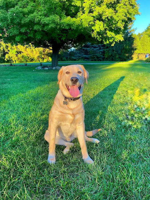 Riverside Animal Hospital Picture 10