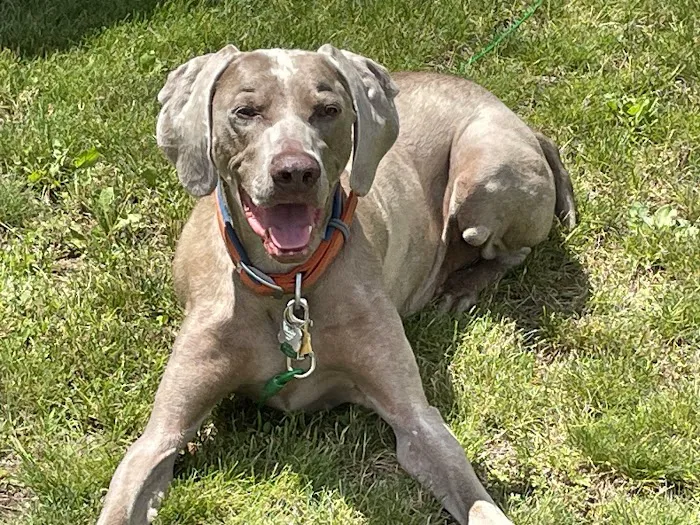 Riverside Animal Hospital Picture 8