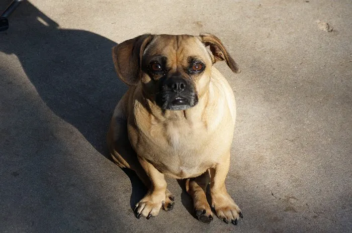 Riverside Animal Hospital Picture 9